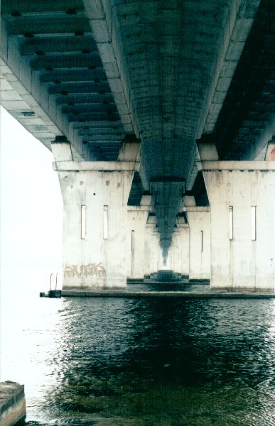 Антоновский мост, вид с правого берега Днепра