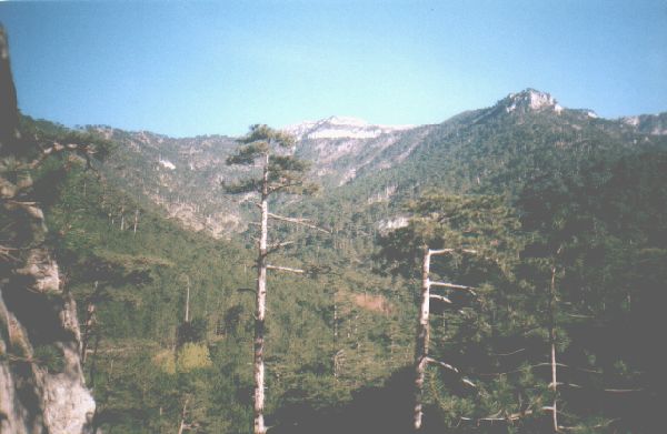 Крым, Ущелье трех гор, 2 мая 2002