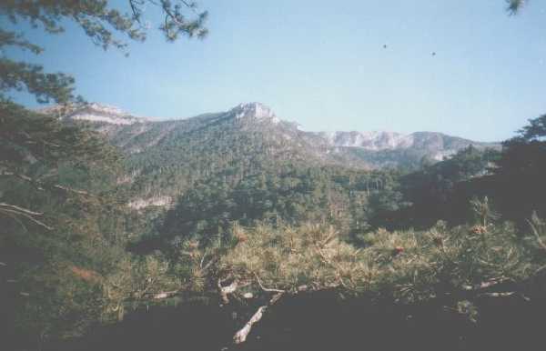Крым, Ущелье трех гор, 2 мая 2002