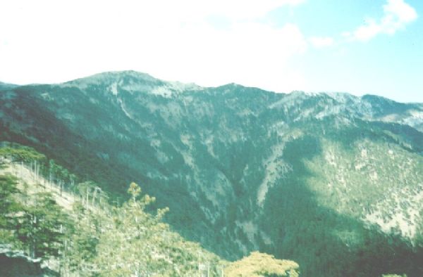 Ущелье трех гор, вид сверху, высота около 800 метров, 2 мая 2002